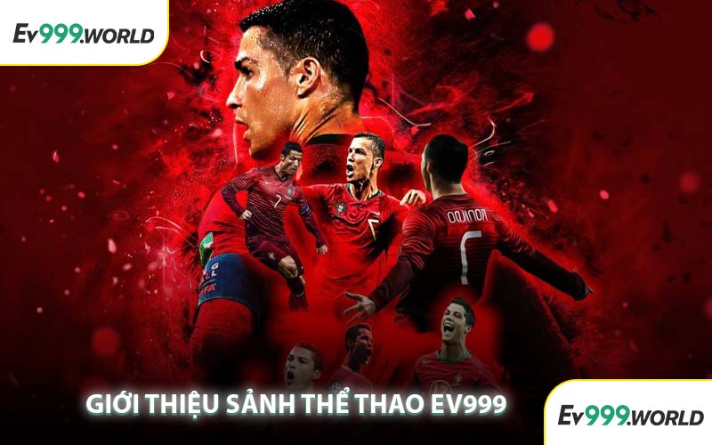 Giới Thiệu Sảnh Thể Thao EV999