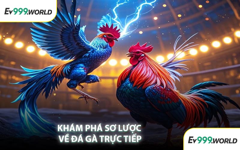 Khám Phá Sơ Lược Về Đá Gà Trực Tiếp