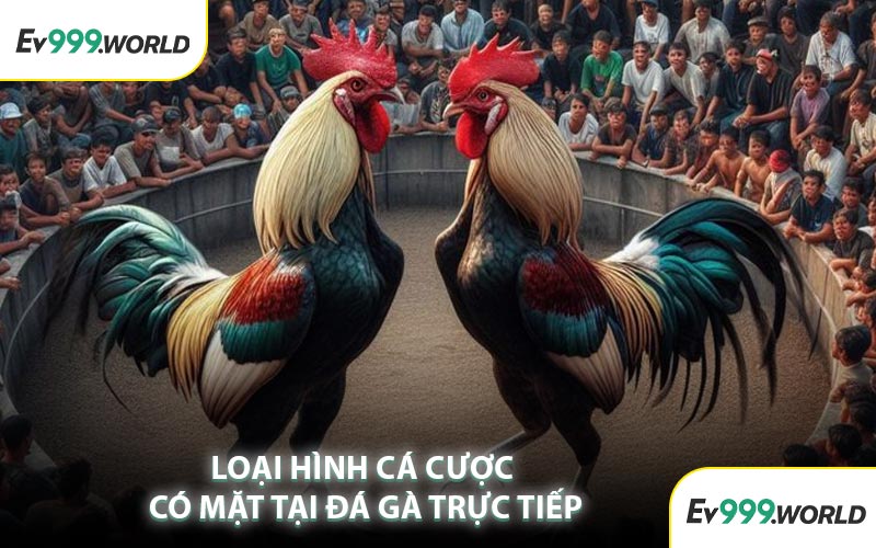 Loại Hình Cá Cược Có Mặt Tại Đá Gà Trực Tiếp