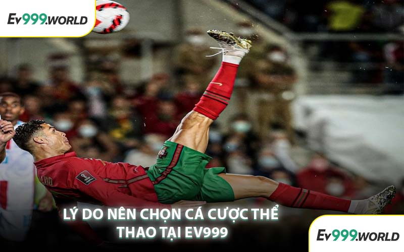 Lý Do Nên Chọn Cá Cược Thể Thao Tại EV999
